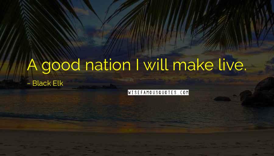 Black Elk quotes: A good nation I will make live.