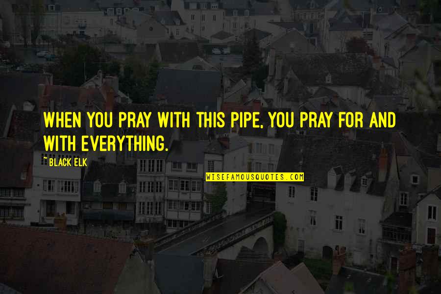 Black Elk Quotes By Black Elk: When you pray with this pipe, you pray