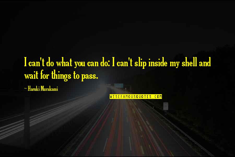 Black Entertainers Quotes By Haruki Murakami: I can't do what you can do: I