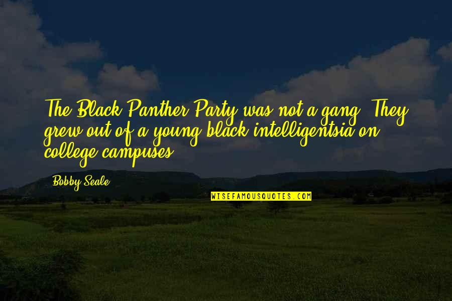 Black Gang Quotes By Bobby Seale: The Black Panther Party was not a gang.