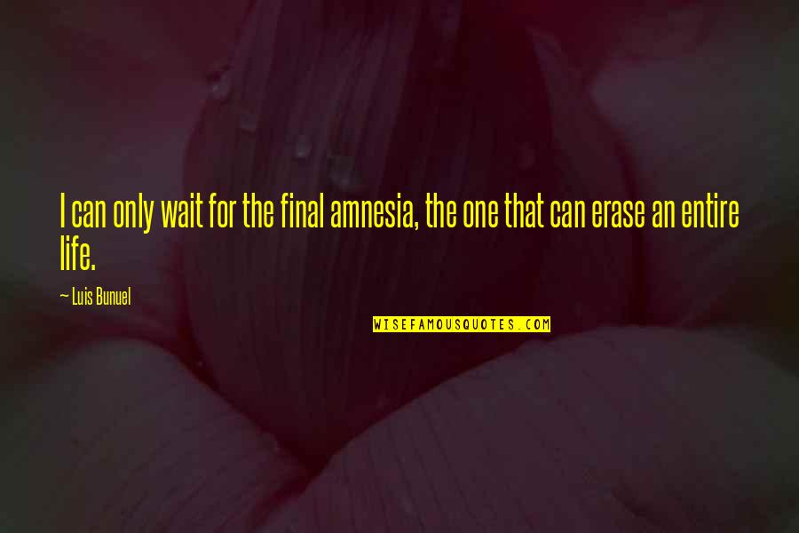 Black Hawk Down Grimes Quotes By Luis Bunuel: I can only wait for the final amnesia,