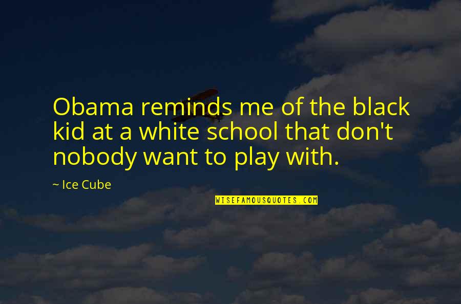 Black Ice Quotes By Ice Cube: Obama reminds me of the black kid at