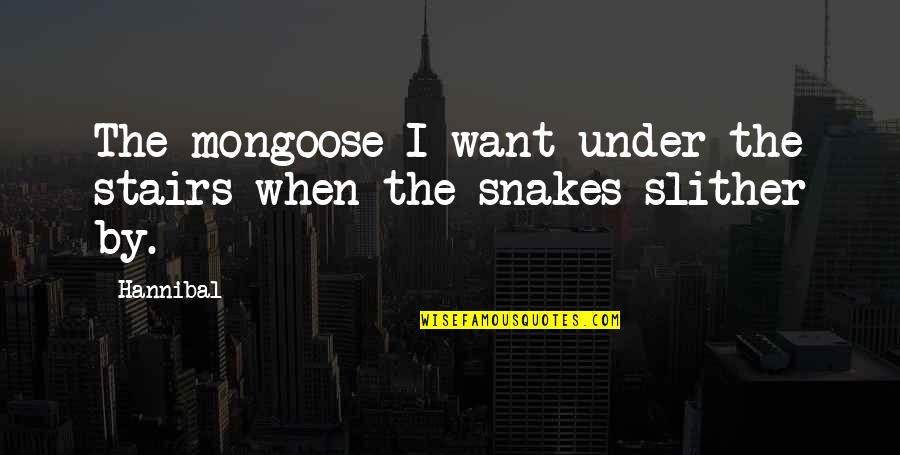 Black Kettle Leader Of Cheyenne Famous Quotes By Hannibal: The mongoose I want under the stairs when