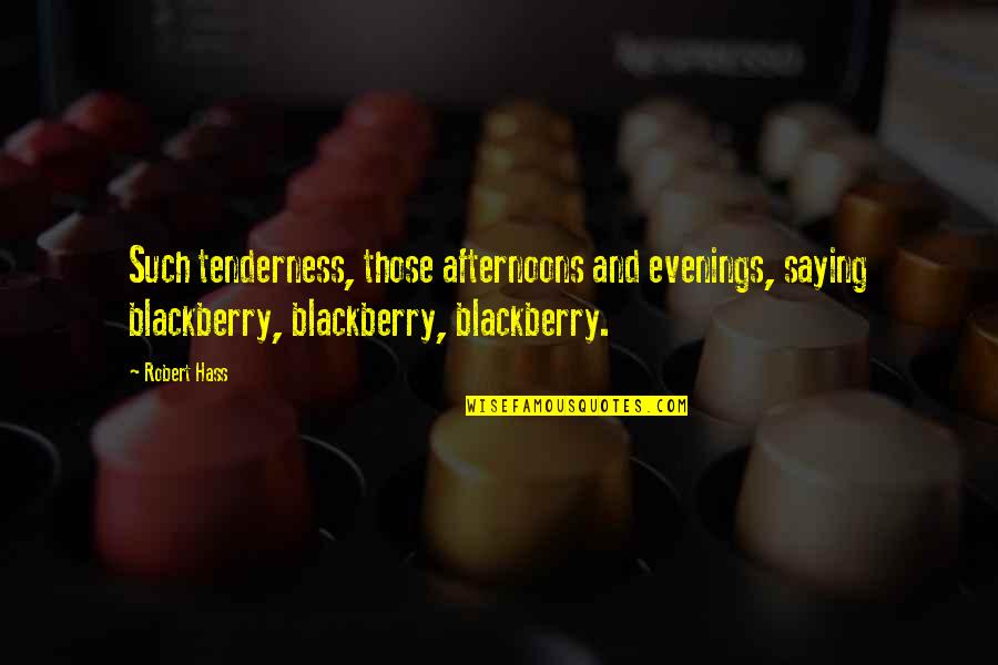 Black Kettle Leader Of Cheyenne Famous Quotes By Robert Hass: Such tenderness, those afternoons and evenings, saying blackberry, Black Kettle Leader Of Cheyenne Famous Quotes By Robert Hass: Such tenderness, those afternoons and evenings, saying blackberry,