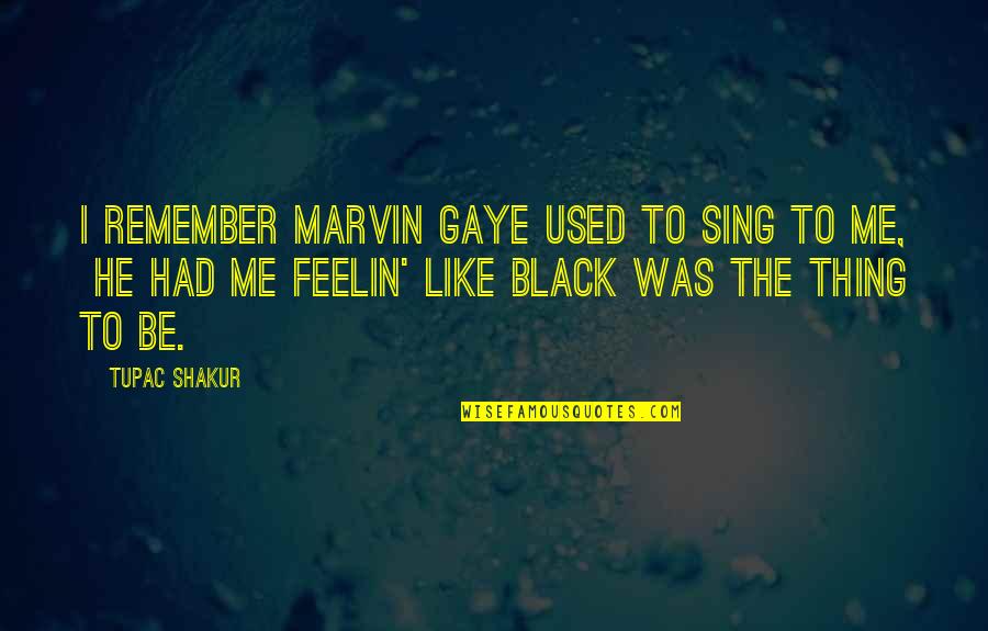 Black Like Me Quotes By Tupac Shakur: I remember Marvin Gaye used to sing to