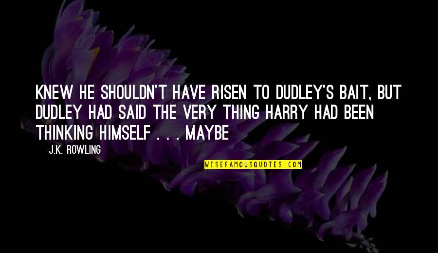Black Ops 2 All Richtofen Quotes By J.K. Rowling: knew he shouldn't have risen to Dudley's bait,