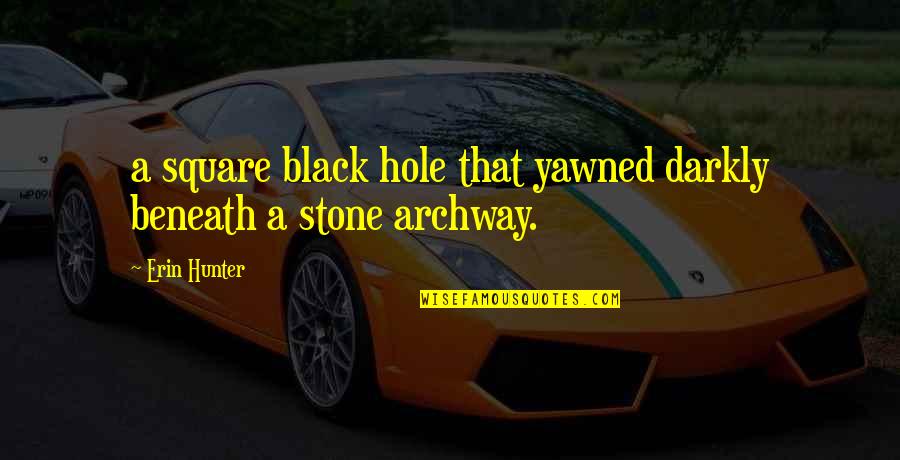 Black P Stone Quotes By Erin Hunter: a square black hole that yawned darkly beneath