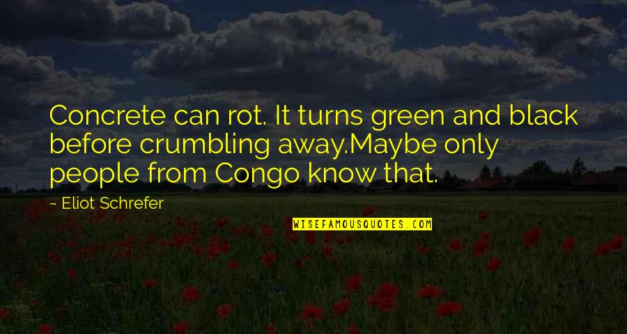 Black People Quotes By Eliot Schrefer: Concrete can rot. It turns green and black