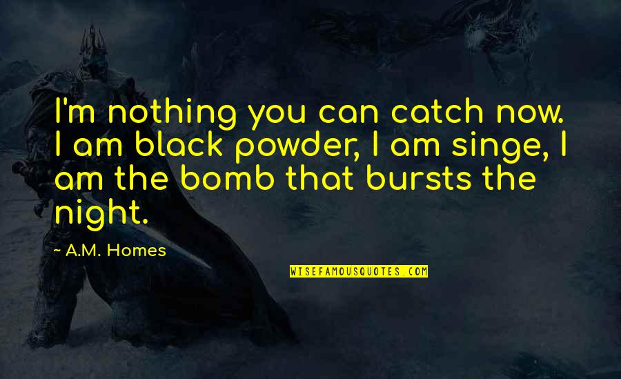 Black Powder Quotes By A.M. Homes: I'm nothing you can catch now. I am