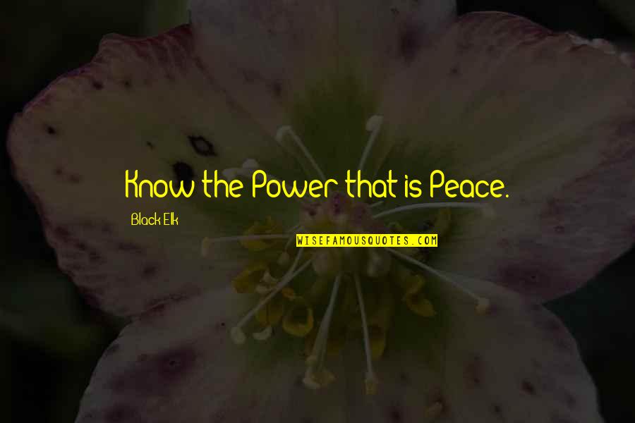 Black Power Quotes By Black Elk: Know the Power that is Peace.