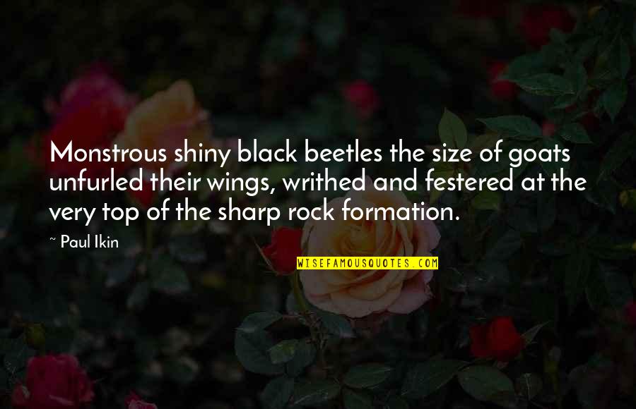 Black Rock Quotes By Paul Ikin: Monstrous shiny black beetles the size of goats Black Rock Quotes By Paul Ikin: Monstrous shiny black beetles the size of goats