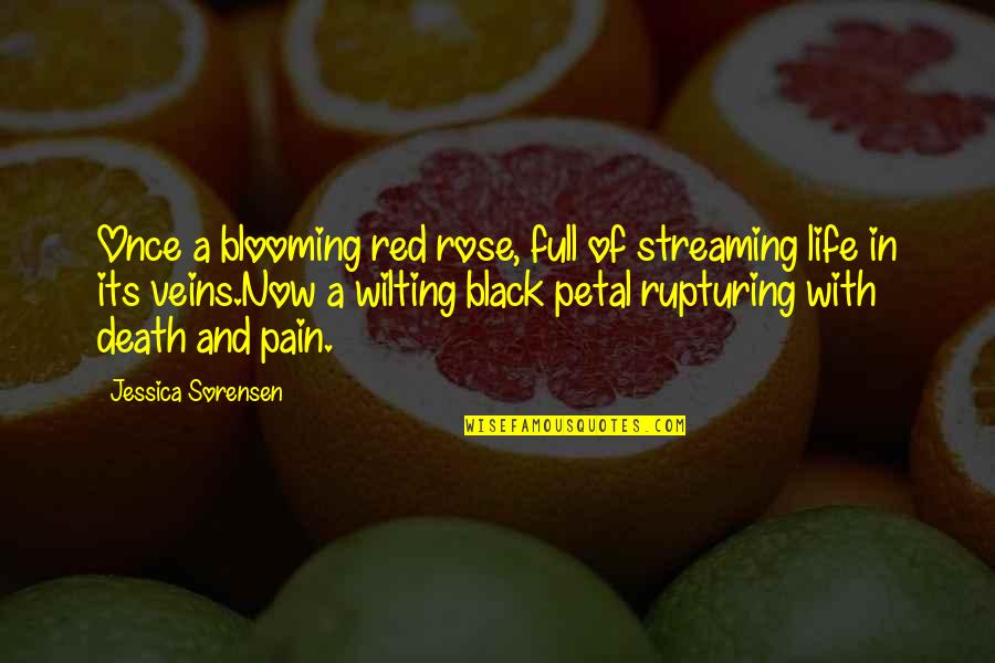 Black Rose Quotes By Jessica Sorensen: Once a blooming red rose, full of streaming