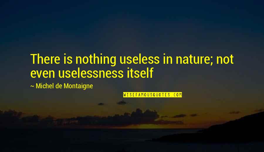 Black Skinned Quotes By Michel De Montaigne: There is nothing useless in nature; not even Black Skinned Quotes By Michel De Montaigne: There is nothing useless in nature; not even