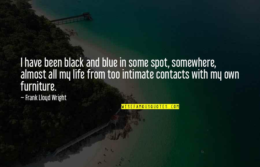 Black Spot Quotes By Frank Lloyd Wright: I have been black and blue in some