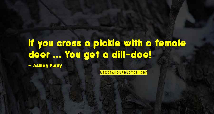 Black Veil Quotes By Ashley Purdy: If you cross a pickle with a female