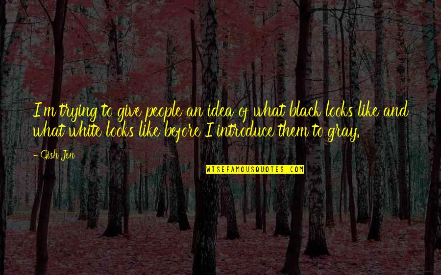 Black White Gray Quotes By Gish Jen: I'm trying to give people an idea of