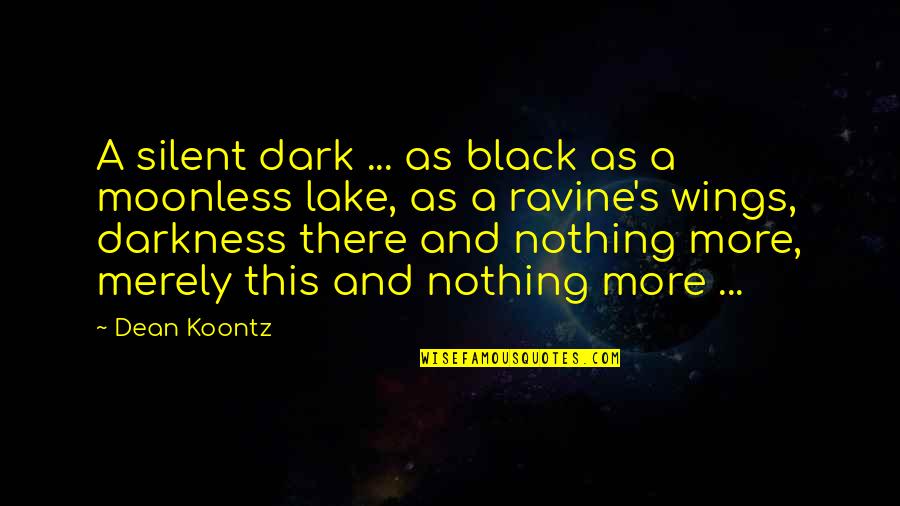 Black Wings Quotes By Dean Koontz: A silent dark ... as black as a