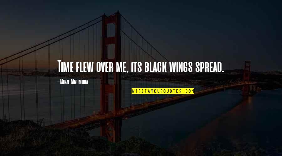 Black Wings Quotes By Minae Mizumura: Time flew over me, its black wings spread.