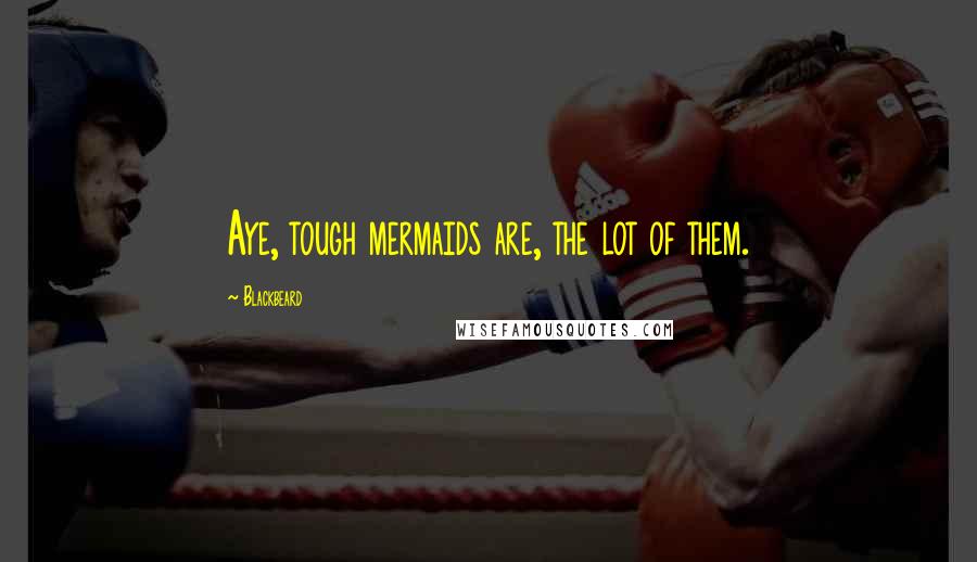 Blackbeard quotes: Aye, tough mermaids are, the lot of them. Blackbeard quotes: Aye, tough mermaids are, the lot of them.