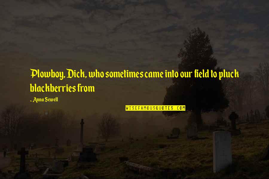 Blackberries Quotes By Anna Sewell: Plowboy, Dick, who sometimes came into our field