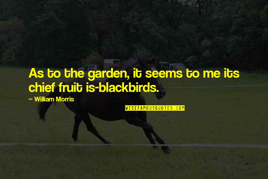 Blackbirds Quotes By William Morris: As to the garden, it seems to me