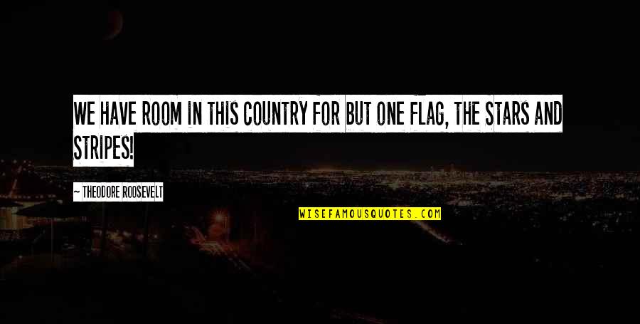 Blackboardisu Quotes By Theodore Roosevelt: We have room in this country for but