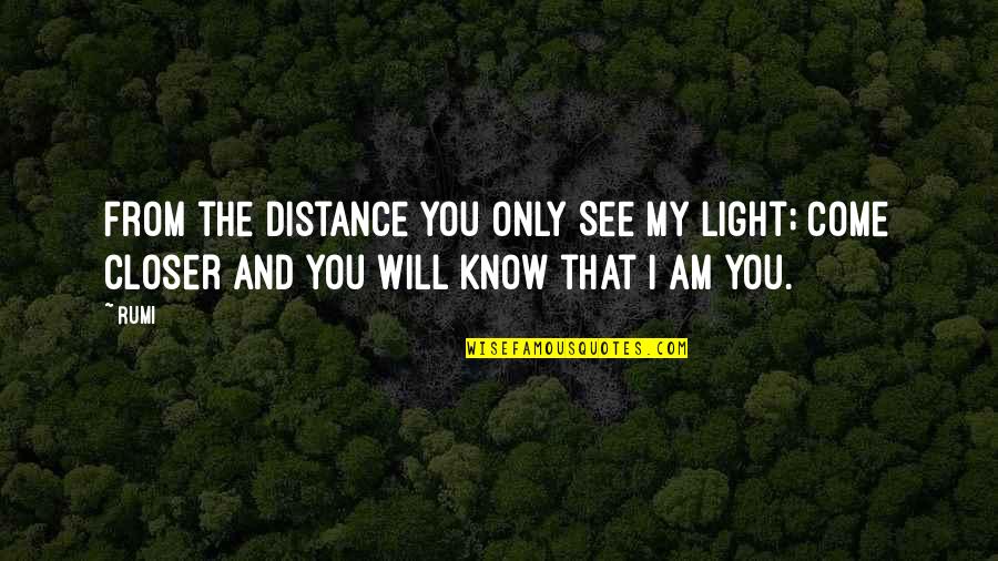 Blackfly Canoes Quotes By Rumi: From the Distance You only See My Light;