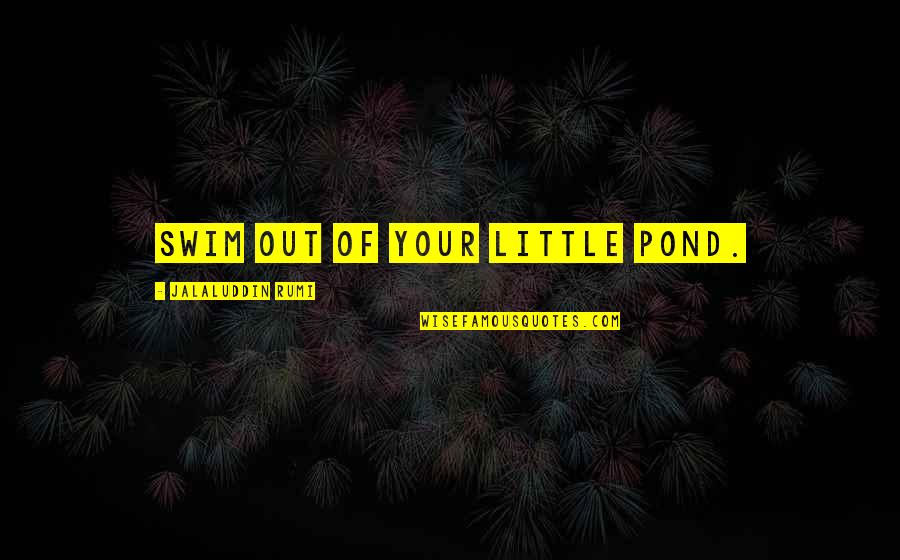 Blackhurst Carpet Quotes By Jalaluddin Rumi: Swim out of your little pond. Blackhurst Carpet Quotes By Jalaluddin Rumi: Swim out of your little pond.