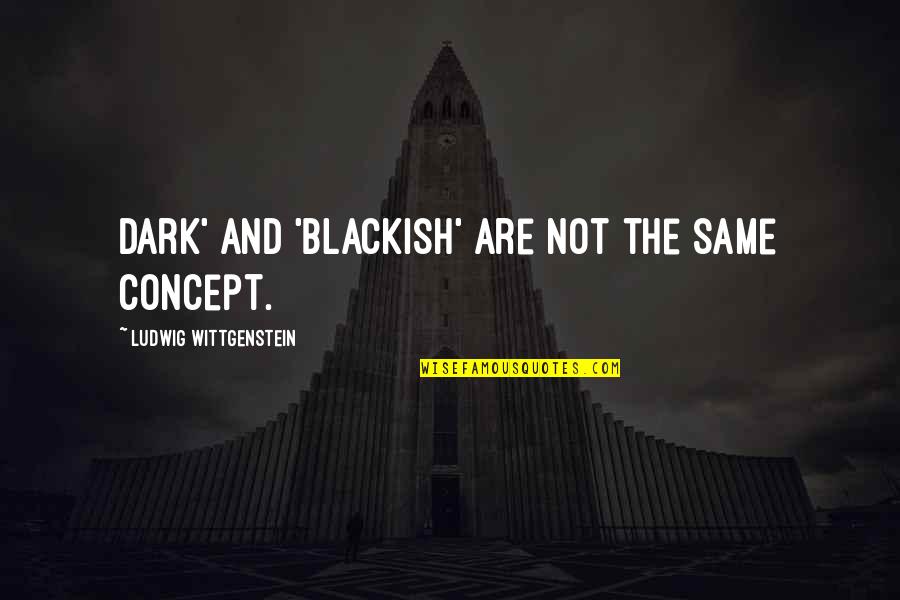 Blackish Quotes By Ludwig Wittgenstein: Dark' and 'blackish' are not the same concept.