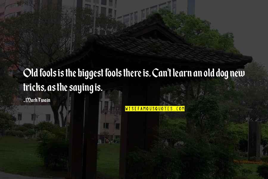 Blacklidge Apartments Quotes By Mark Twain: Old fools is the biggest fools there is.
