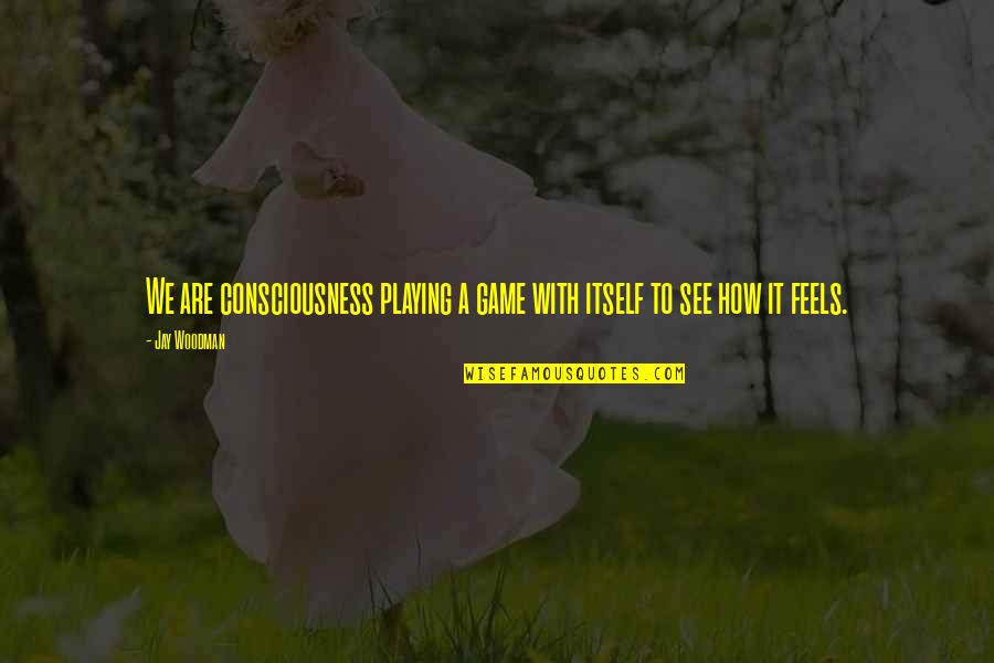 Blackmun Quotes By Jay Woodman: We are consciousness playing a game with itself