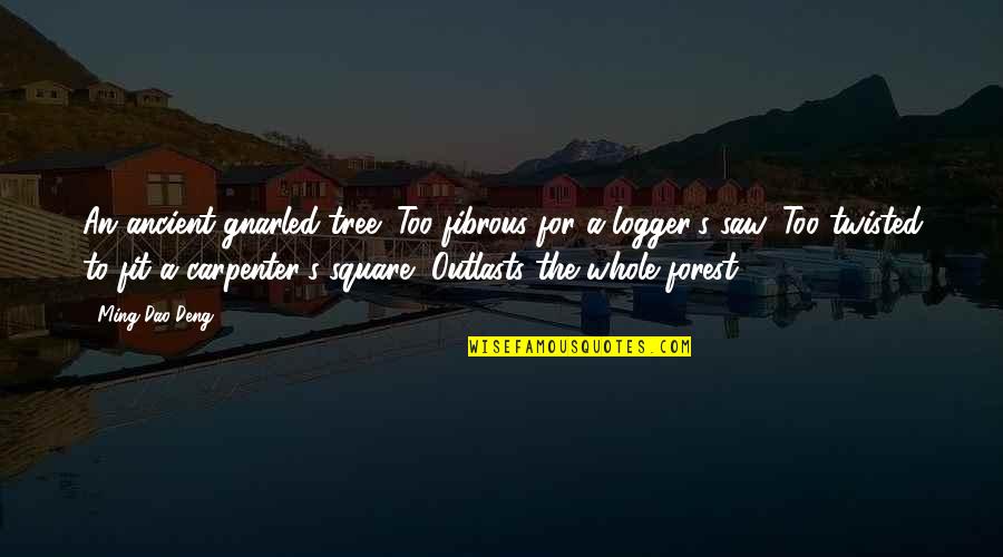 Blackouts Around The World Quotes By Ming-Dao Deng: An ancient gnarled tree: Too fibrous for a Blackouts Around The World Quotes By Ming-Dao Deng: An ancient gnarled tree: Too fibrous for a
