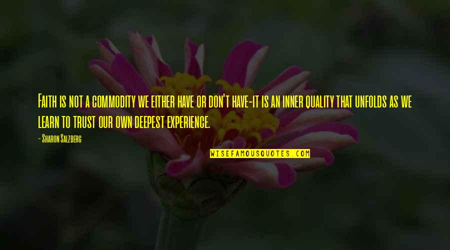 Blackrock Memorable Quotes By Sharon Salzberg: Faith is not a commodity we either have Blackrock Memorable Quotes By Sharon Salzberg: Faith is not a commodity we either have
