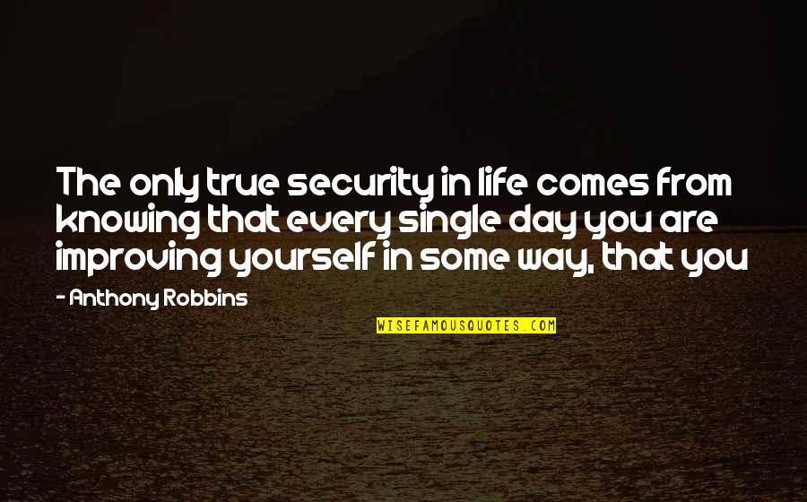 Blacks In The South Quotes By Anthony Robbins: The only true security in life comes from