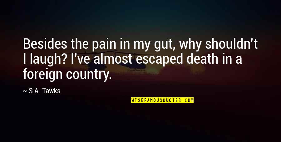 Blackskinned Quotes By S.A. Tawks: Besides the pain in my gut, why shouldn't Blackskinned Quotes By S.A. Tawks: Besides the pain in my gut, why shouldn't