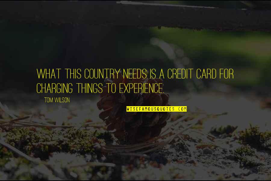 Blacksmithing Videos Quotes By Tom Wilson: What this country needs is a credit card