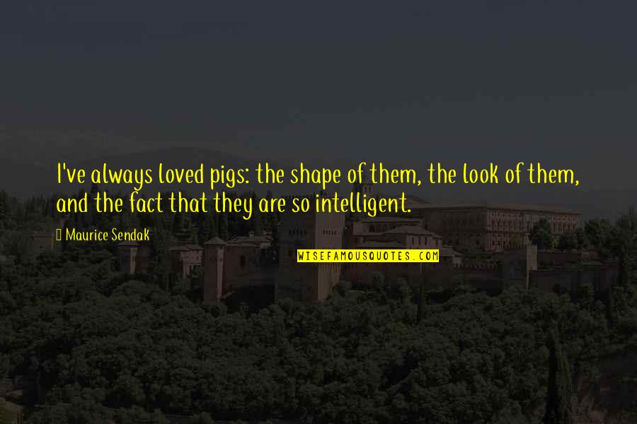 Blacksummersnight 2016 Maxwell Quotes By Maurice Sendak: I've always loved pigs: the shape of them,
