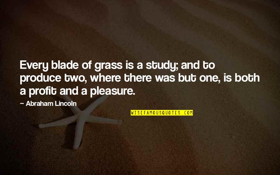 Blade Of Grass Quotes By Abraham Lincoln: Every blade of grass is a study; and