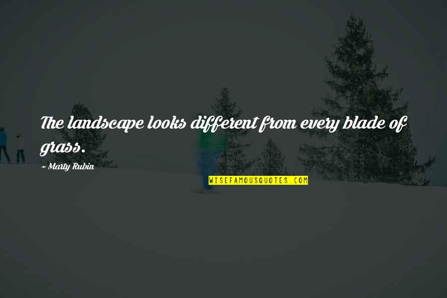 Blade Of Grass Quotes By Marty Rubin: The landscape looks different from every blade of Blade Of Grass Quotes By Marty Rubin: The landscape looks different from every blade of