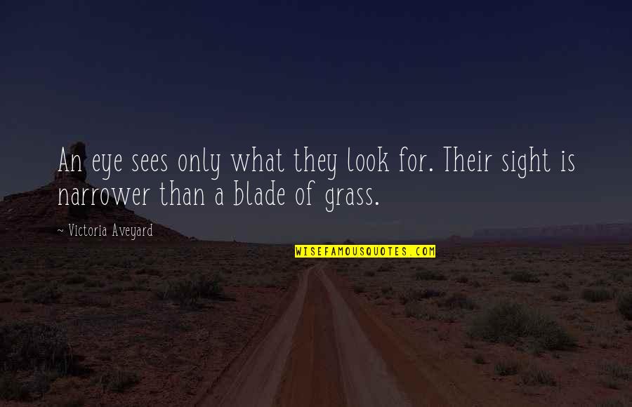 Blade Of Grass Quotes By Victoria Aveyard: An eye sees only what they look for. Blade Of Grass Quotes By Victoria Aveyard: An eye sees only what they look for.