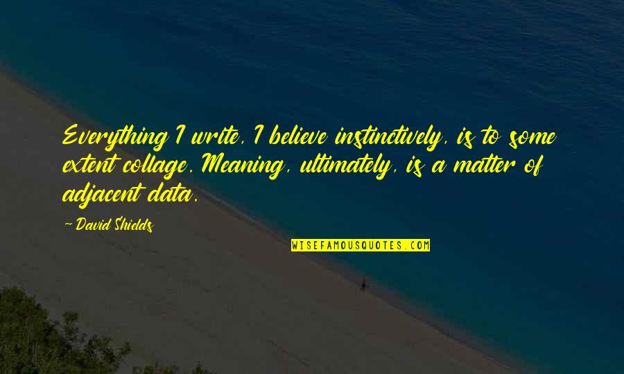 Blademaster Quotes By David Shields: Everything I write, I believe instinctively, is to Blademaster Quotes By David Shields: Everything I write, I believe instinctively, is to
