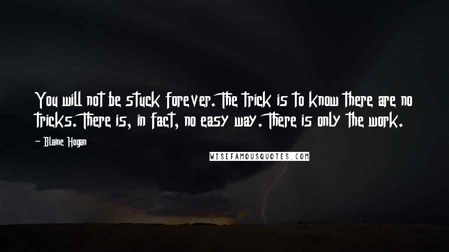 Blaine Hogan quotes: You will not be stuck forever. The trick is to know there are no tricks. There is, in fact, no easy way. There is only the work.