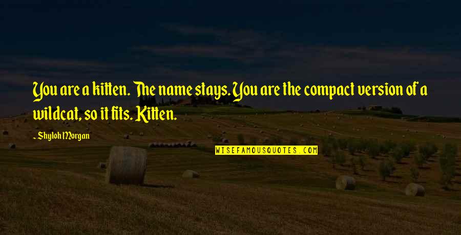 Blair Quotes By Shyloh Morgan: You are a kitten. The name stays. You Blair Quotes By Shyloh Morgan: You are a kitten. The name stays. You