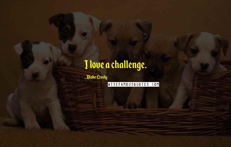 Blake Lively quotes: I love a challenge.