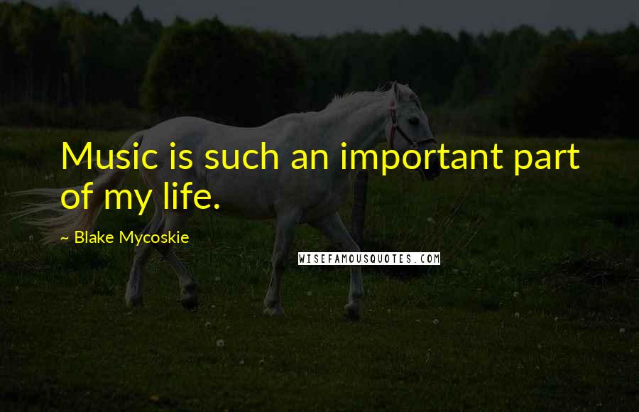 Blake Mycoskie quotes: Music is such an important part of my life.