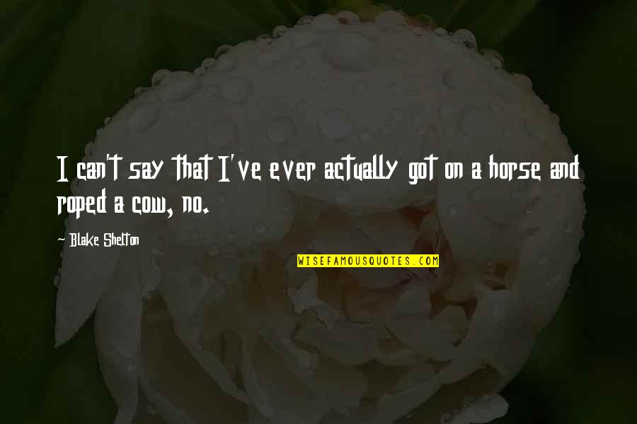 Blake Shelton Quotes By Blake Shelton: I can't say that I've ever actually got