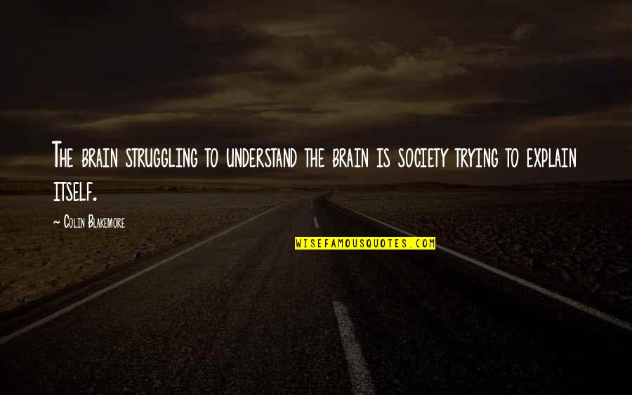 Blakemore Quotes By Colin Blakemore: The brain struggling to understand the brain is