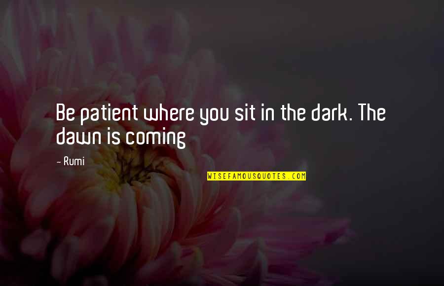 Blame Liam Quotes By Rumi: Be patient where you sit in the dark.