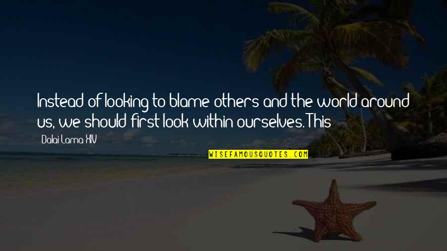 Blame Others Quotes By Dalai Lama XIV: Instead of looking to blame others and the