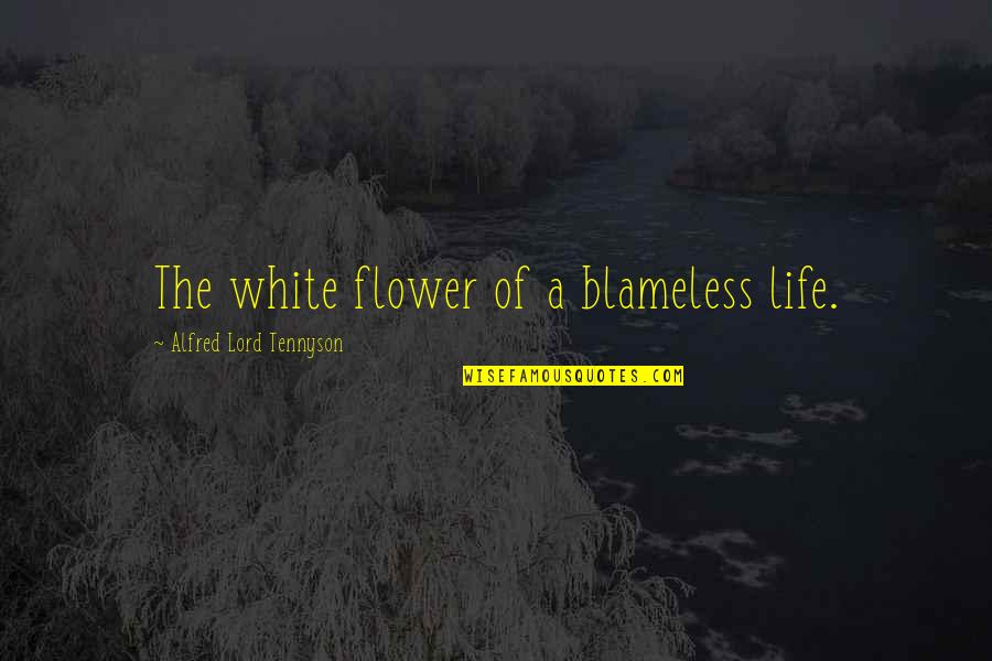 Blameless Quotes By Alfred Lord Tennyson: The white flower of a blameless life. Blameless Quotes By Alfred Lord Tennyson: The white flower of a blameless life.